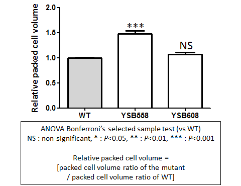 Capsule phenotype for CNAG_00047T0