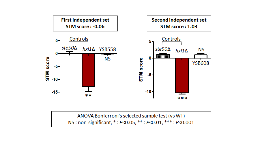 STM murine host model data for CNAG_00047T0