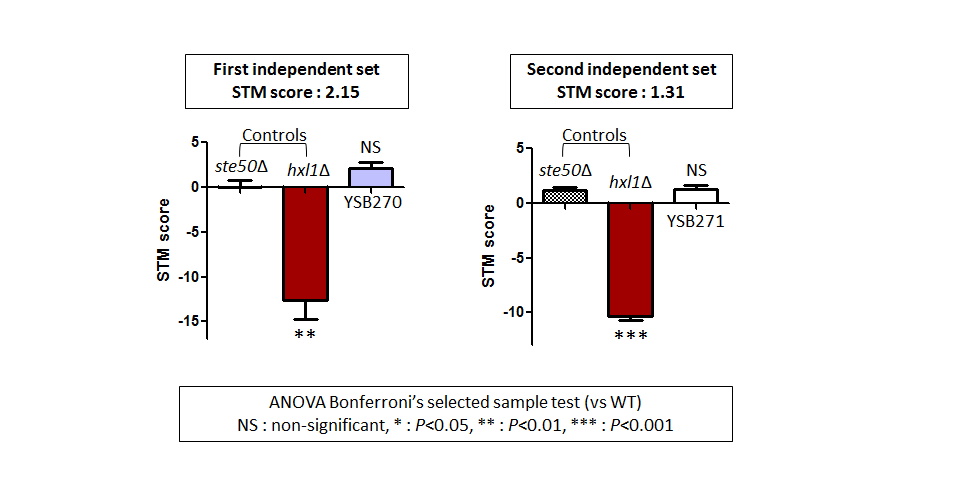STM murine host model data for CNAG_00130T0