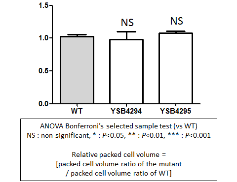 Capsule phenotype for CNAG_00266T0