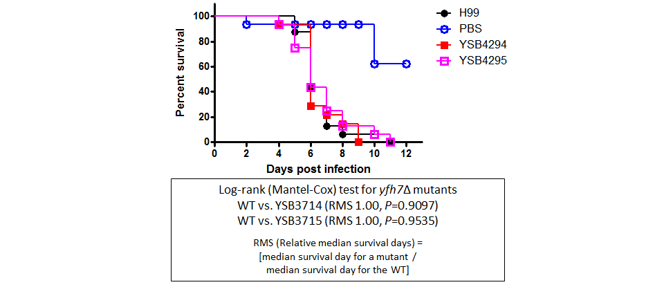 Galleria mellonella virulence data for CNAG_00266T0
