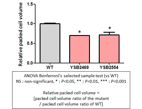 Capsule phenotype for CNAG_00363T0