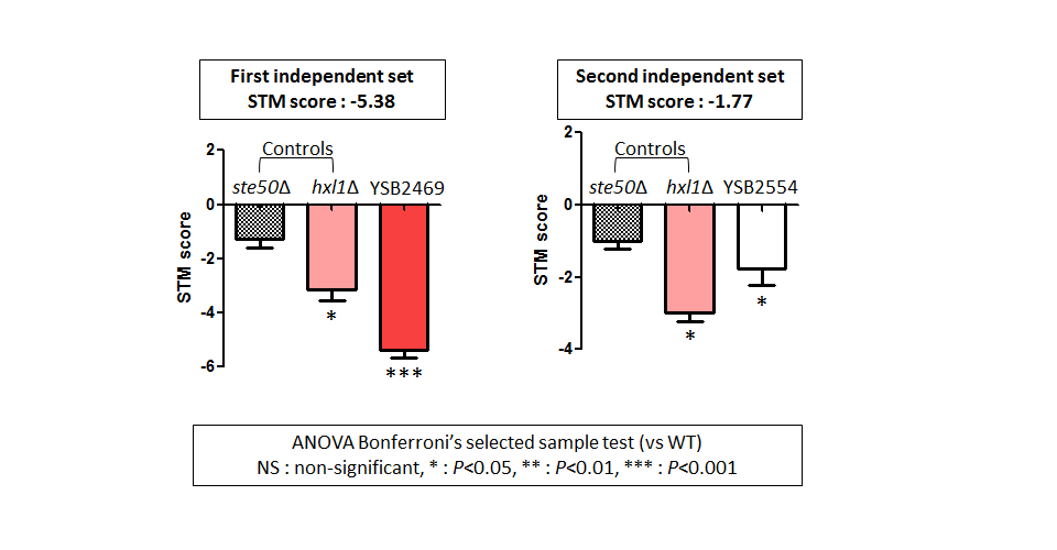 STM murine host model data for CNAG_00363T0