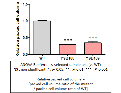 Capsule phenotype for CNAG_00396T0