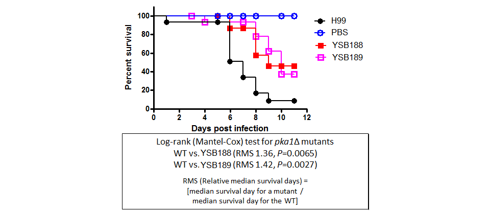 Galleria mellonella virulence data for CNAG_00396T0