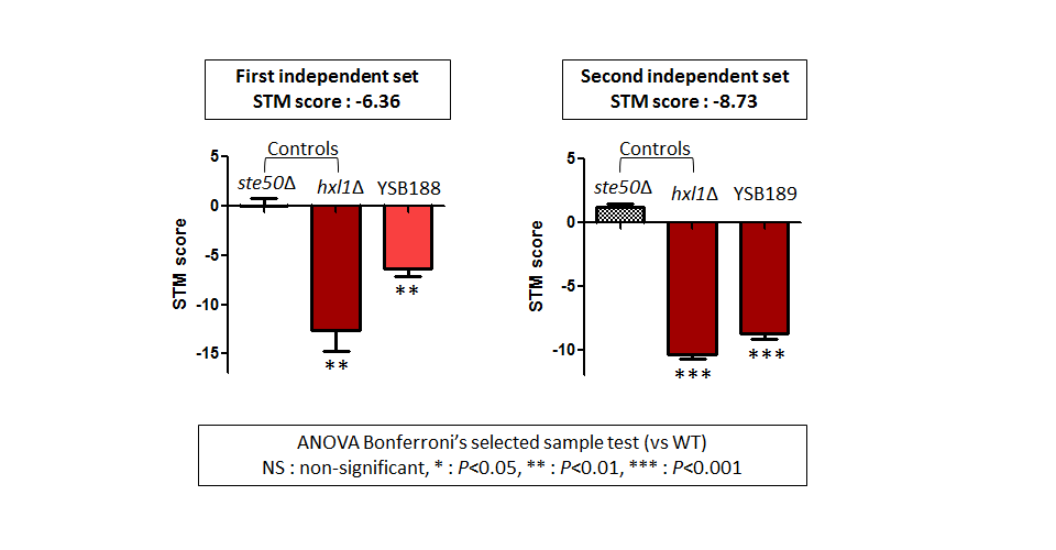 STM murine host model data for CNAG_00396T0