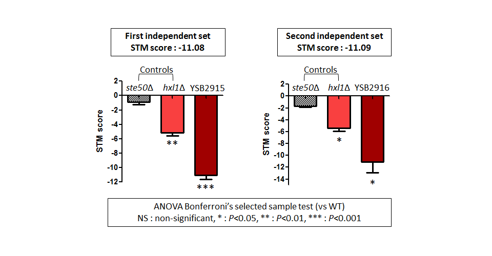 STM murine host model data for CNAG_00405T0