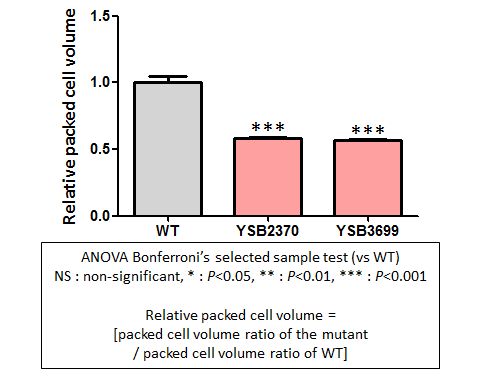 Capsule phenotype for CNAG_00415T0