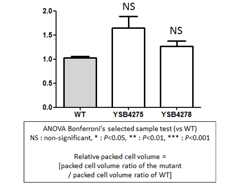 Capsule phenotype for CNAG_00556T0
