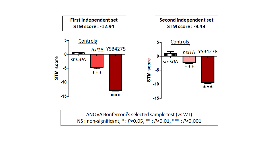 STM murine host model data for CNAG_00556T0