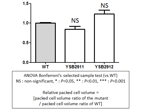 Capsule phenotype for CNAG_00636T0