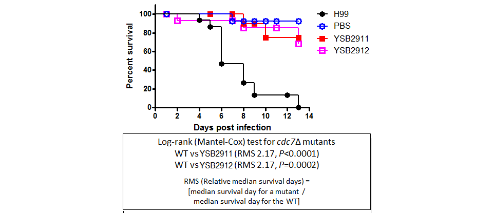 Galleria mellonella virulence data for CNAG_00636T0