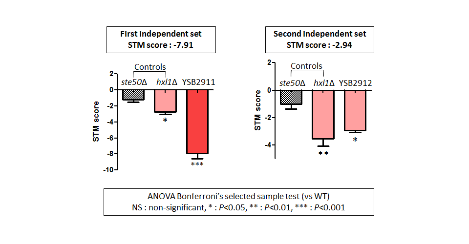 STM murine host model data for CNAG_00636T0