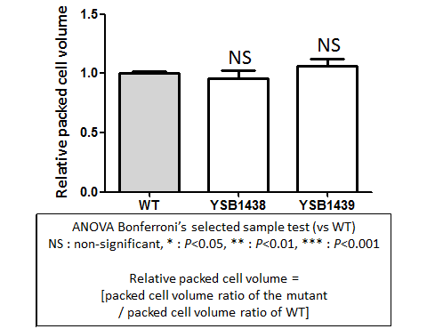 Capsule phenotype for CNAG_00745T0