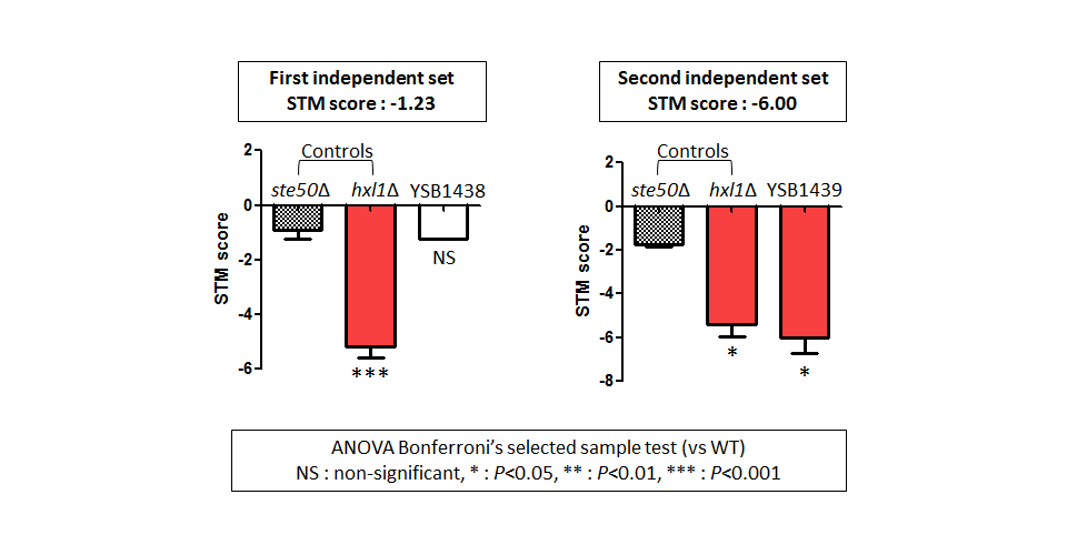STM murine host model data for CNAG_00745T0
