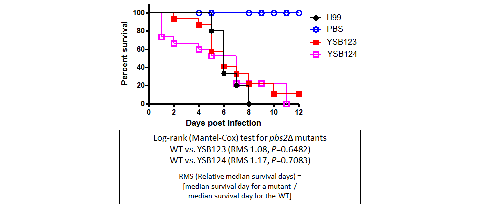 Galleria mellonella virulence data for CNAG_00769T0