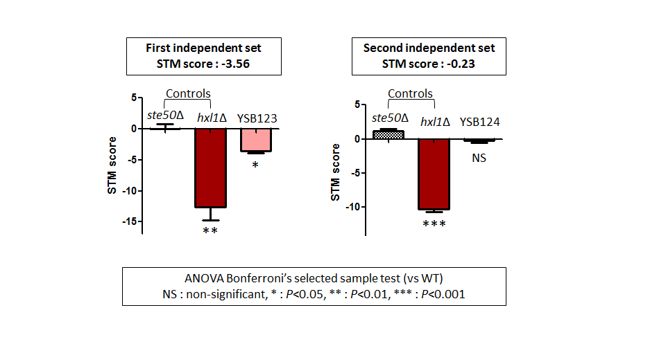 STM murine host model data for CNAG_00769T0