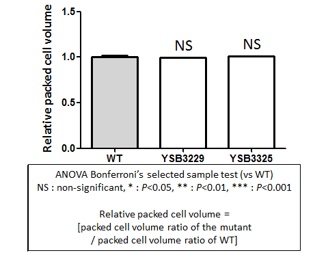 Capsule phenotype for CNAG_00782T0