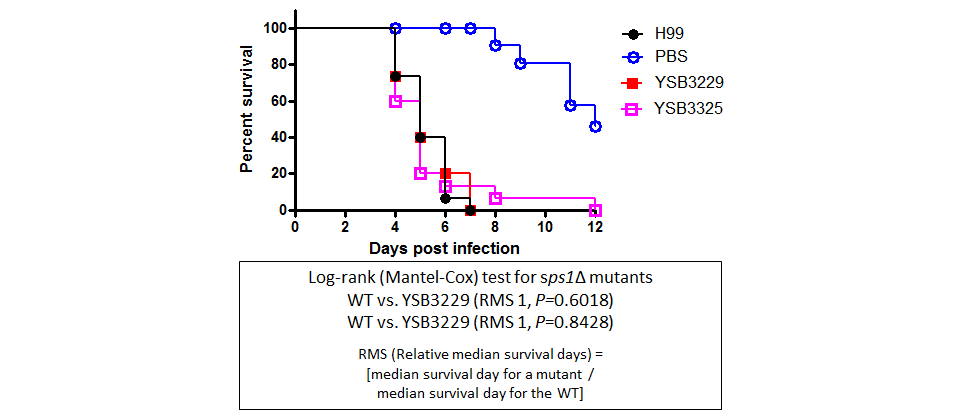 Galleria mellonella virulence data for CNAG_00782T0