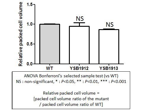 Capsule phenotype for CNAG_00826T0