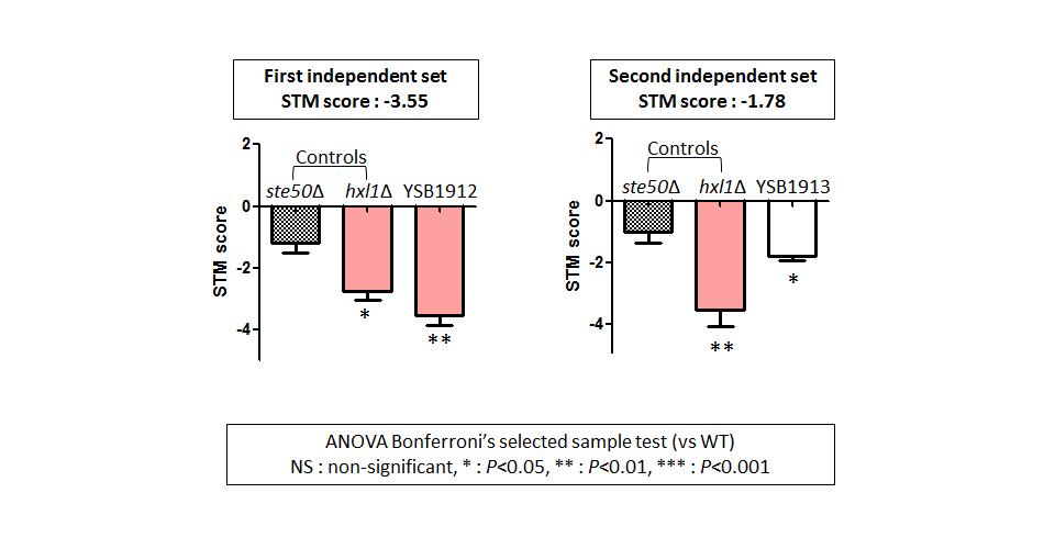 STM murine host model data for CNAG_00826T0