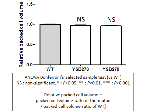 Capsule phenotype for CNAG_01850T0