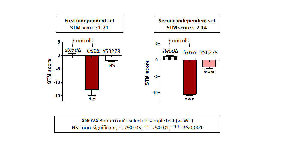 STM murine host model data for CNAG_01850T0