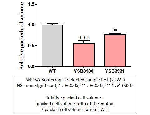 Capsule phenotype for CNAG_01938T0