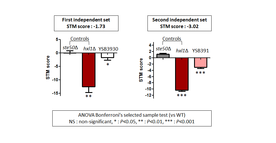 STM murine host model data for CNAG_01938T0