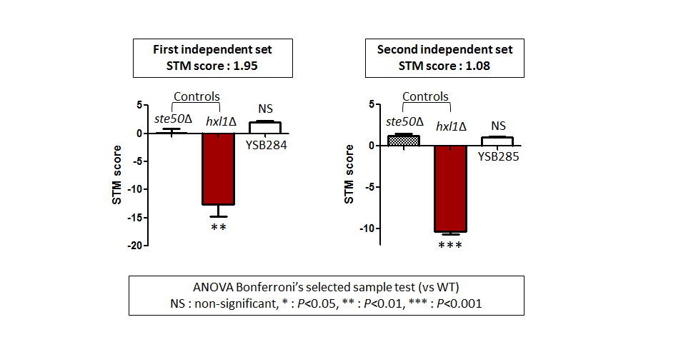 STM murine host model data for CNAG_01988T0