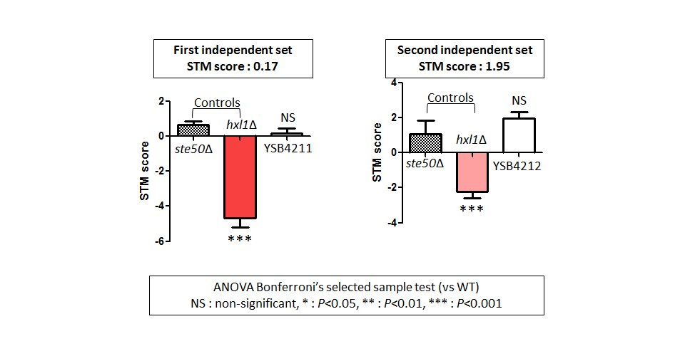STM murine host model data for CNAG_02007T0