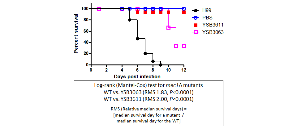 Galleria mellonella virulence data for CNAG_02233T0