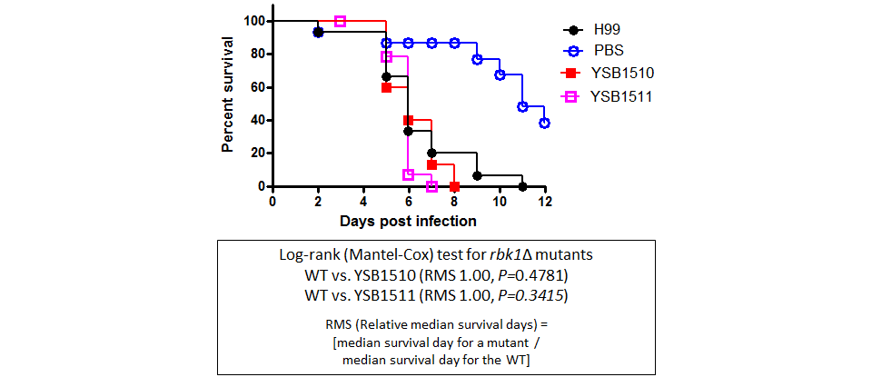 Galleria mellonella virulence data for CNAG_02296T0