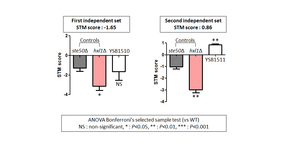 STM murine host model data for CNAG_02296T0