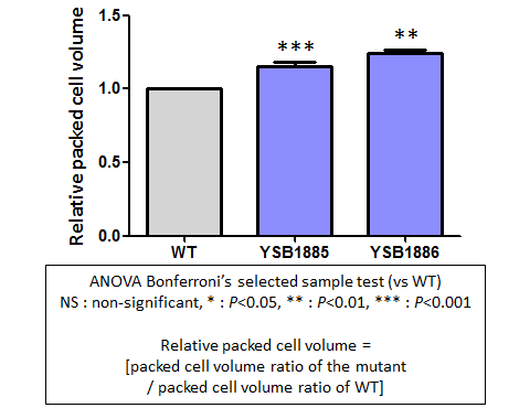 Capsule phenotype for CNAG_02389T0