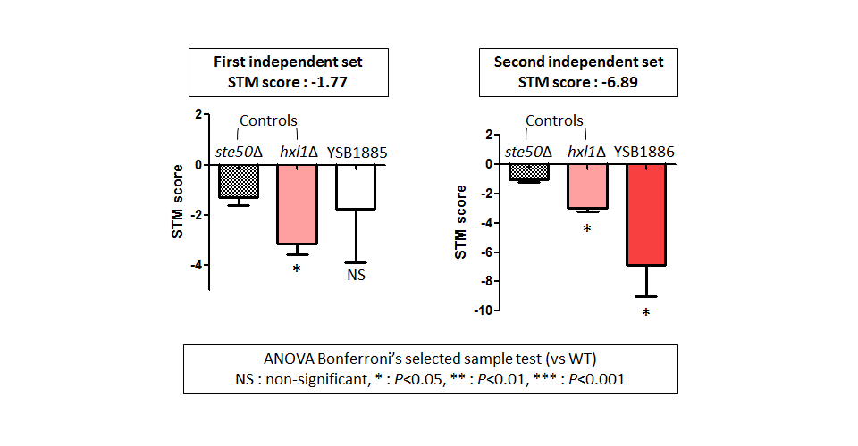 STM murine host model data for CNAG_02389T0
