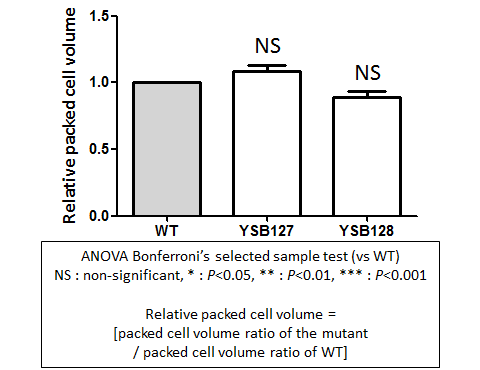 Capsule phenotype for CNAG_02511T0