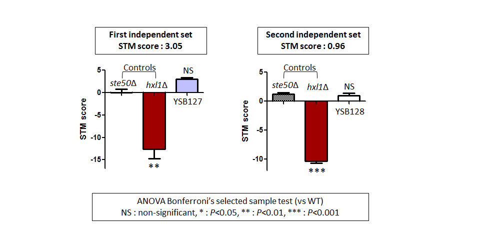 STM murine host model data for CNAG_02511T0