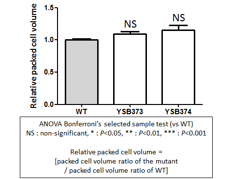 Capsule phenotype for CNAG_02531T0