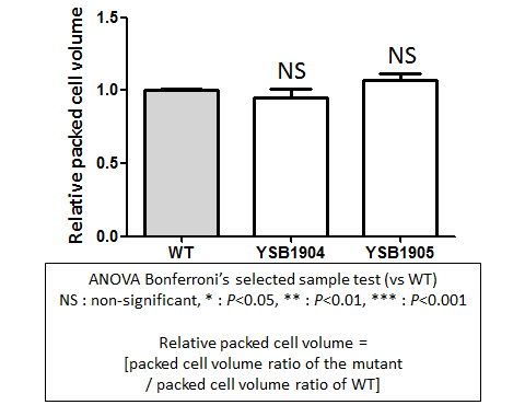 Capsule phenotype for CNAG_02542T0