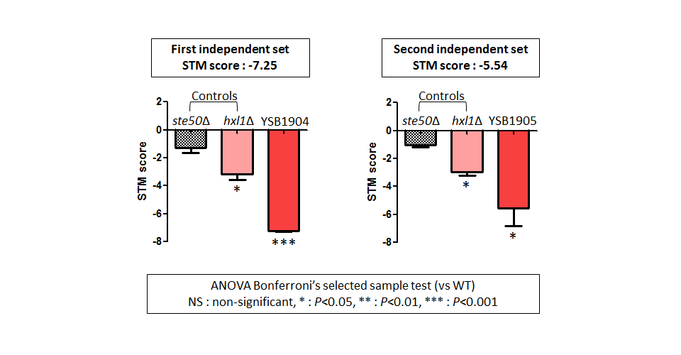 STM murine host model data for CNAG_02542T0
