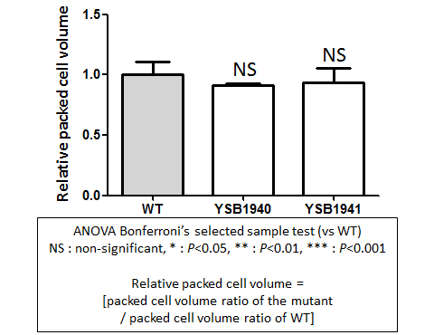 Capsule phenotype for CNAG_02551T0