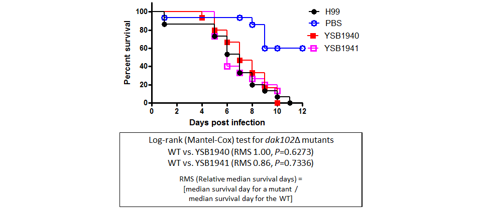 Galleria mellonella virulence data for CNAG_02551T0