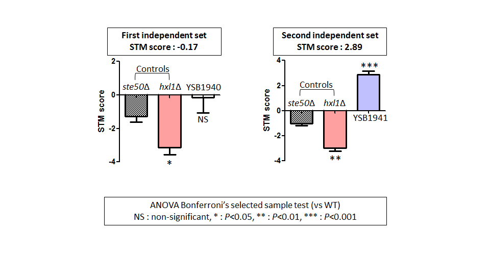 STM murine host model data for CNAG_02551T0