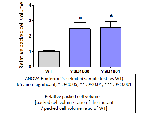 Capsule phenotype for CNAG_02675T0