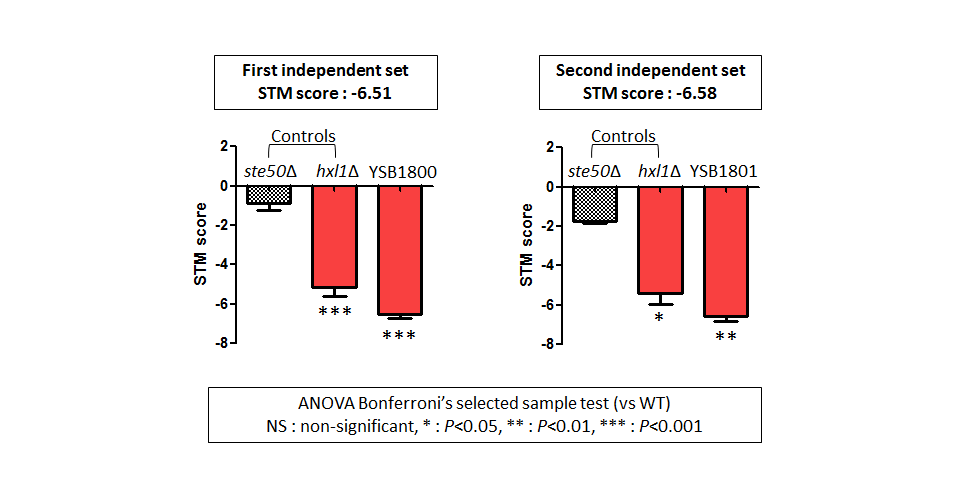 STM murine host model data for CNAG_02675T0