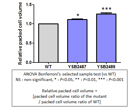 Capsule phenotype for CNAG_02799T0