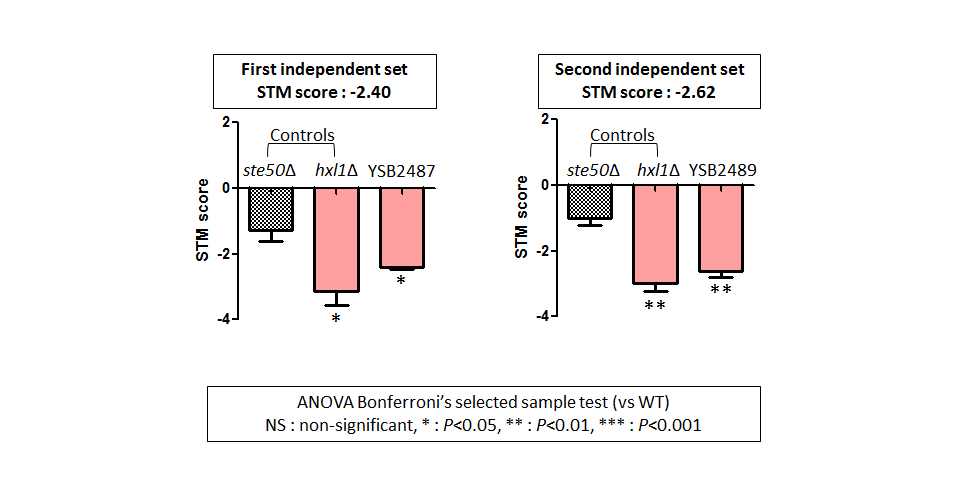 STM murine host model data for CNAG_02799T0