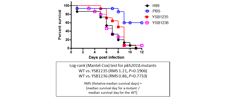 Galleria mellonella virulence data for CNAG_02820T0