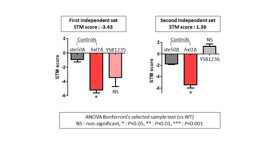 STM murine host model data for CNAG_02820T0